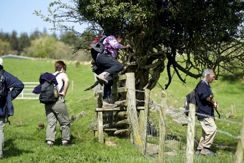 Coleford Area Walking Festival (11th - 19th May)